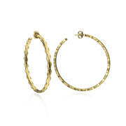 Sacred Hoops Earrings