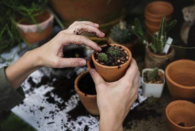 10 Ways to Connect with Mother Nature